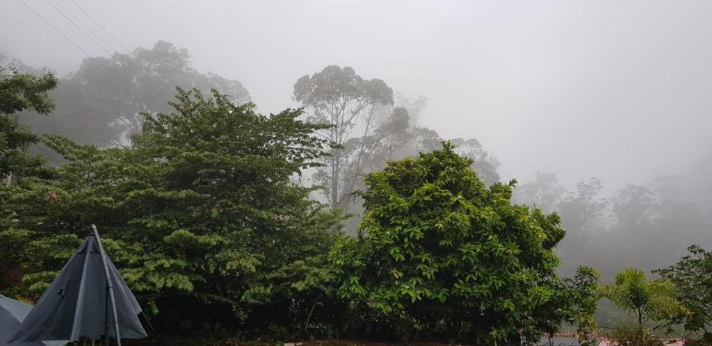 The Grand Bandarawela Otel Dış mekan fotoğraf